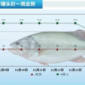 �~�r�ս�0.5Ԫ/��V�|���~�����������ͨ���������~|�Z�~һ���������