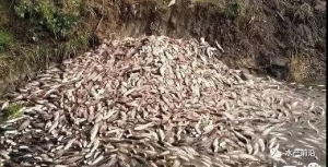 ��ŭ���������������N�ۡ���ȸʯ�G�����~���жױO�r�X��