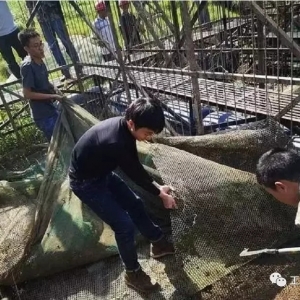 ȫ��ˮ�a(ch��n)�Ј���־�׃�������Q(m��o)�ב�(zh��n)���m(x��)Ӱ�ˮ�a(ch��n)�I(y��)��Խ�Ϻͼ��ô�ֱ�ӏ��Ы@��