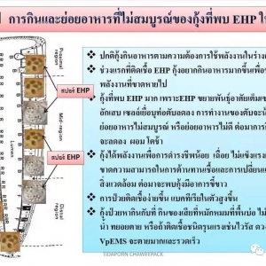 EHP�ı��l(f��)��̩���õ��@�N��ʽ�t�ܿ���EHP��