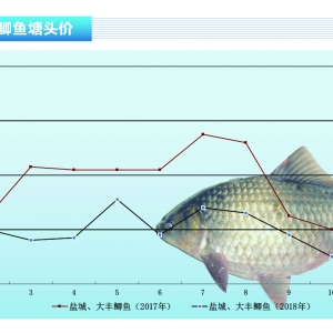 �a�~������Ӱ푃r�y��������ˮ�aǰ�ء�2018��12�¿��Ј�څ��