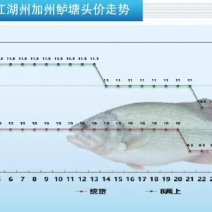 һ������ȫ����ؼ����|11������