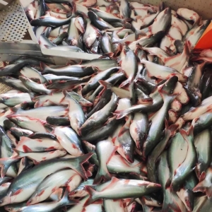 2019���ɳ�~�Bֳ��󱬰l���AӋ�a���ٱ���300%�_10�f�����҃r����ߣ�