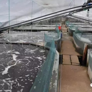 �٬F(xi��n)һ���У�����5000�f��ˮƯ�����B(y��ng)�r�ص����ݏ�(qi��ng)Ӳ��������늡����������B(y��ng)����Ͷ��� ...