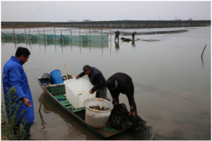 ͨ�����O��һ�w�����lз�y�a�������@���ИI피������J���cٝ��