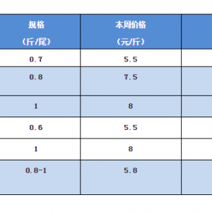 ��׾W(w��ng)�����_ʼ��һ݆�Ĵ�Ҏ(gu��)ģ����a�~�r���_ʼ�����