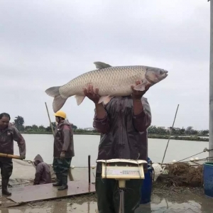 ��ѩ��·����ͨ���_ʼ���~�������ǽy(t��ng)��ֱ��5Ԫ���P(gu��n)����ɽ����~��ߝq0.7Ԫ/�����3 ...