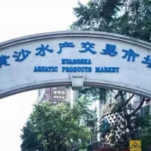 �������V��6��ˮ�a(ch��n)���l(f��)�Ј�(ch��ng)�����w��