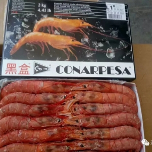 ��(gu��)��(n��i)����͢�t�r���������������鿴�q��