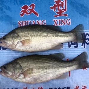 �_���~�٣��V���~�r��ů����ؼ����|�r���������и���