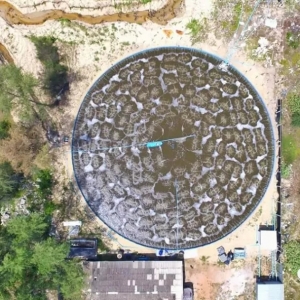 �ľ�̝����ٍ25�f������ĤСˮ�w�A�γ��B�rģʽ���ɹ��ʸ��_9�ɣ�