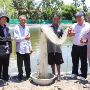 ̩���ò��}��ľ�ϡ��㽶ι�B���r�����L�죬�ɷ����ҿڸИO��