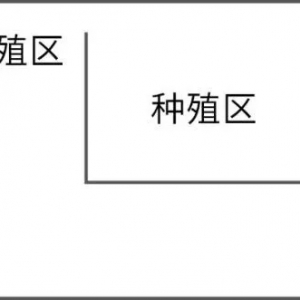 �B�r��ģʽ�����r�����r+ˮ���������l���ٮa����