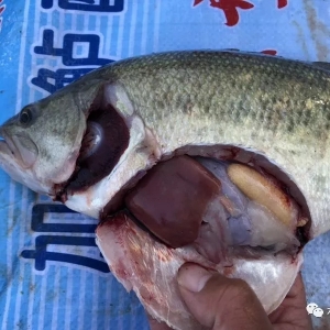 ���a�^�����|���^�r�c����һ�ܽ��� | �ܴ�����ؼs