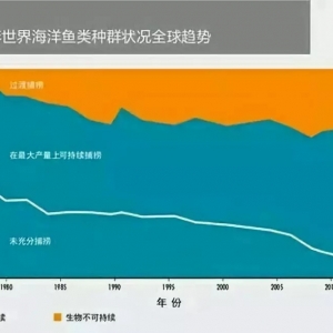 ����Ժ��ͦˮ�a�Bֳ�I��̖�ٴ�Ҷ���~��