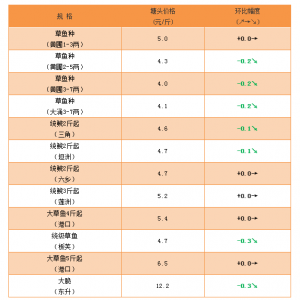 2��22��16��Ʒ�N�r�񲥈�