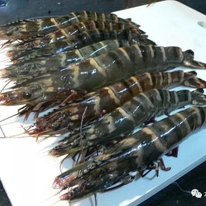 2019�����߹����r�Bֳ�����Իؚw����