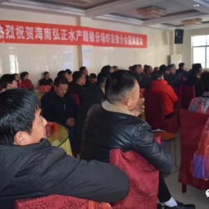 ���Ϻ������܎����Bֳ��ٍ���X�����ǡ�Ӳ������