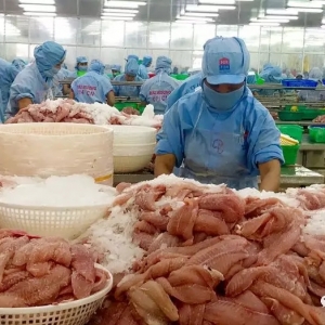 Σ�C��Խ�ϰ�ɳ�~�r�񱩵���50%