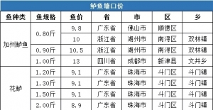 �����Нq��һ��ȫ�������|���ڃr�񲥈�