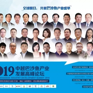 2019���ɳ�~�I(y��)��ô�ɣ���Խ��ɳ�~�I(y��)���I(l��ng)���R����h