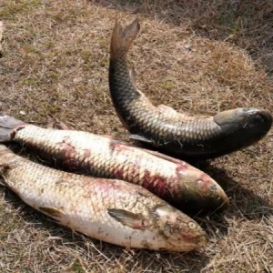 ����漱�m | ���ֲ��������u�����B�����ε��ί���������