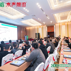 ���o��2019���A�|�����|ȫ������B(y��ng)ֳ��ӭ���l(f��)�L(f��ng)��