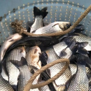 ȫ������ȫ����O���a�~�r������q����