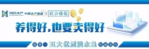 �����Нq��4��15�ո������~����r