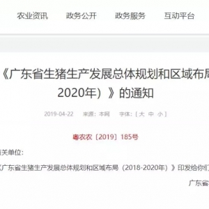 5500�f�^���M�Ј��£��V�|������º����i�B(y��ng)ֳ�@�P�壿