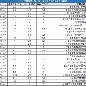 �u�~�u�r�ؿ���4��28��ȫ�������Ј����~���l�Ј��r