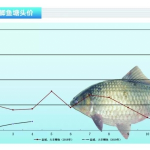 �a�~��Ҏ�������r�R��������ˮ�aǰ�ء�2019��5�¿��Ј�څ��