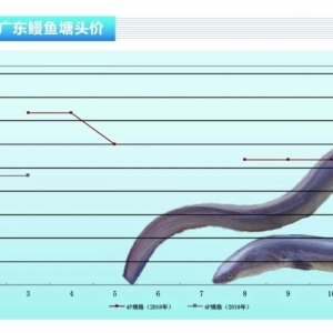 ���~���_�������r�����ϝq������ˮ�a(ch��n)ǰ�ء�2019��5�¿��Ј�څ��