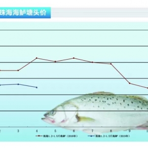 ���|���Ј�ƣܛ���r(ji��)��΢��������ˮ�a(ch��n)ǰ�ء�2019��5�¿��Ј�څ��