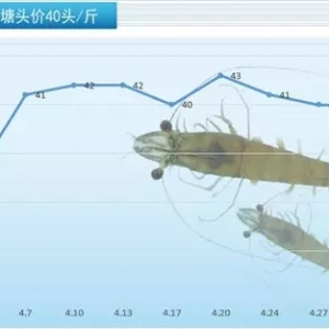 40�l45Ԫ/���|�r�r�I��ȫ����