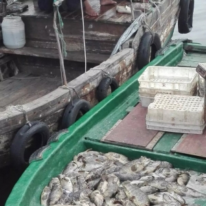 ��ʯ�ۃ��~�����ܼӹ��S��ˮ��Ⱦ��ʯ�ߴ�������