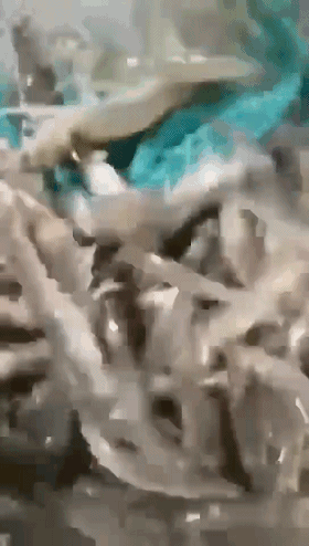 ���Ї��Ј����BֳЧ���Ǚz��|������Ҫ�˜�