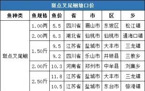 5�µ�4��ȫ��(gu��)��Ʒ�N���ڃr(ji��)����(b��o)