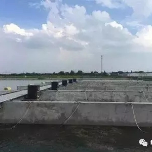 ����(zh��n)�����������W(w��ng)��+����B(y��ng)ֳ�Z�~