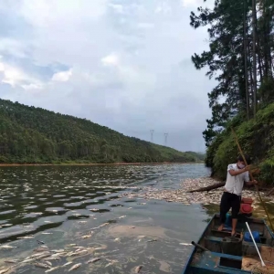 ج�����������}����15����80�f���~�������pʧ400�f