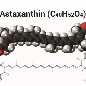 �B(y��ng)ֳ����(y��ng)ԓ���бO(ji��n)�y�B(y��ng)ֳ�r�е�ɫ�غ���