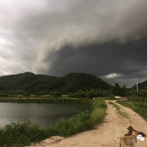 �Ј��ч���ȱ�~���؃������֌��u���A��