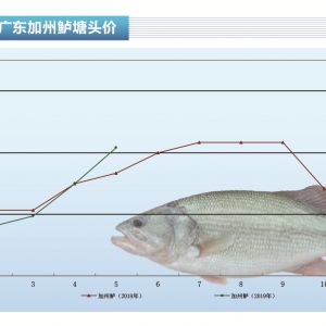 �����|��ȫ�����~�ġ����~�r�j��������ˮ�aǰ�ء�2019��6�¿��Ј�څ��