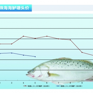 ���|��ȱ�磬��r(ji��)�ߣ����|�B(y��ng)ֳ���_���Դ���������ˮ�a(ch��n)ǰ�ء�2019��6�¿��Ј�څ��