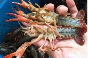 �����BֳС���r̝�K��������߀���B����