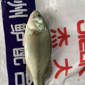 ͬ����ߝq4.5Ԫ/��@�l�~���q��r��څ�������Нq��߀�ж��| �ܴ�����ؼs