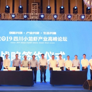 ����ك|Ҏģ�Gɫ�a�I���С���r�a�IՓ���ɹ��e��