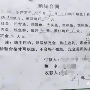 �q���ˣ��Z�~���q6Ԫ/�����50Ԫ/����˞鳴���~�r�Զ���