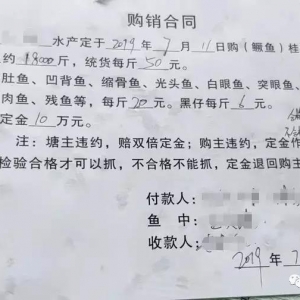 50Ԫ/�����Z�~߀Ҫ�q�ƚvʷӛ���