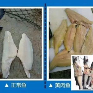 ֪��������٣����_���Ϯ���β���u���B(y��ng)���pʧ150�f�������Ϸ�ͥ
